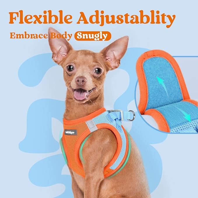 rabbitgoo Small Dog Harness, Step-in Soft Mesh Puppy Vest with Safety Buckle, Breathable Reflective Pet Harness for Small Sized Dogs, Blue & Orange S