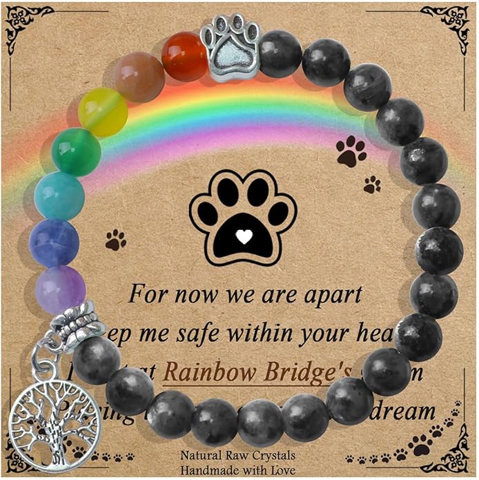 Pet Memorial Gifts, Sympathy Gift for Loss of Dogs and Cats, Chakra Rainbow Bridge Bracelet for Women Men Who Lost Pets