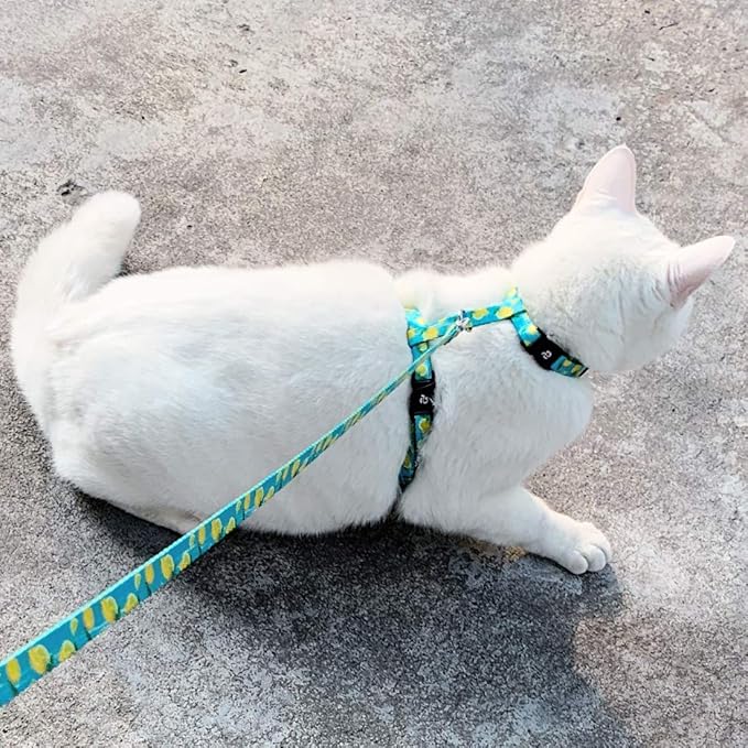 azuza Cat Harness and Leash Set for Safe Walking and Travel, Escape Proof Cat Harness, Lightweight Soft and Comfortable, Adjustable Kitten Harness for Small Medium Large Cats, Lemon