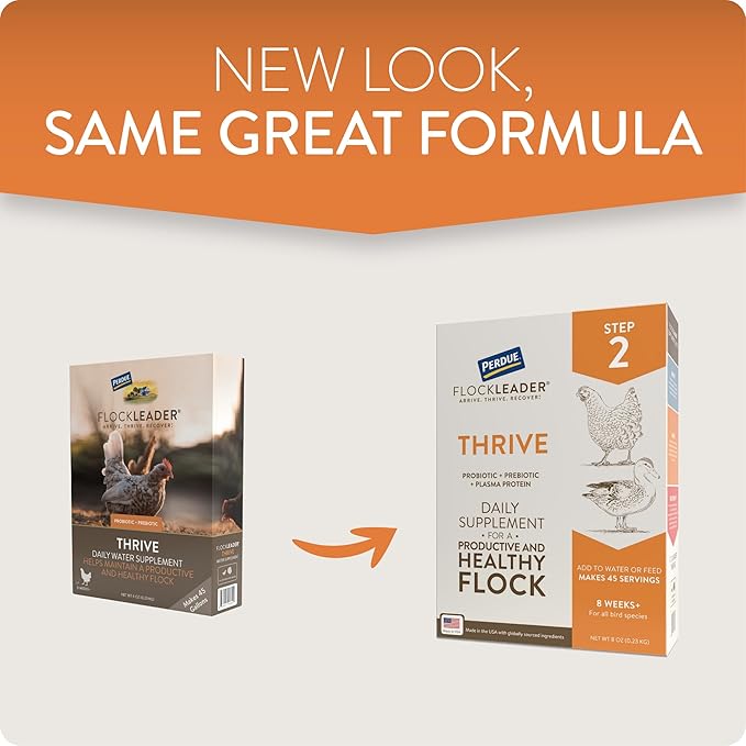 FlockLeader Thrive, Daily Probiotic & Prebiotic Poultry Supplement for Chickens 8+ Weeks Old, 8 oz