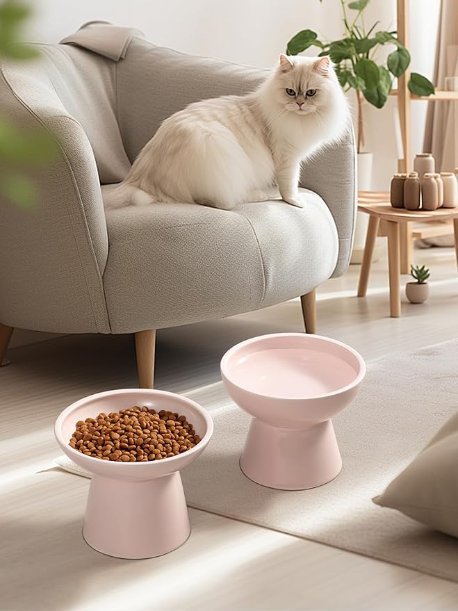 LoeJan Elevated Cat Food and Water Bowls Set, Pink - Raised Ceramic Anti-Vomit Whisker-Free Feeder for Kittens to Adult Cats