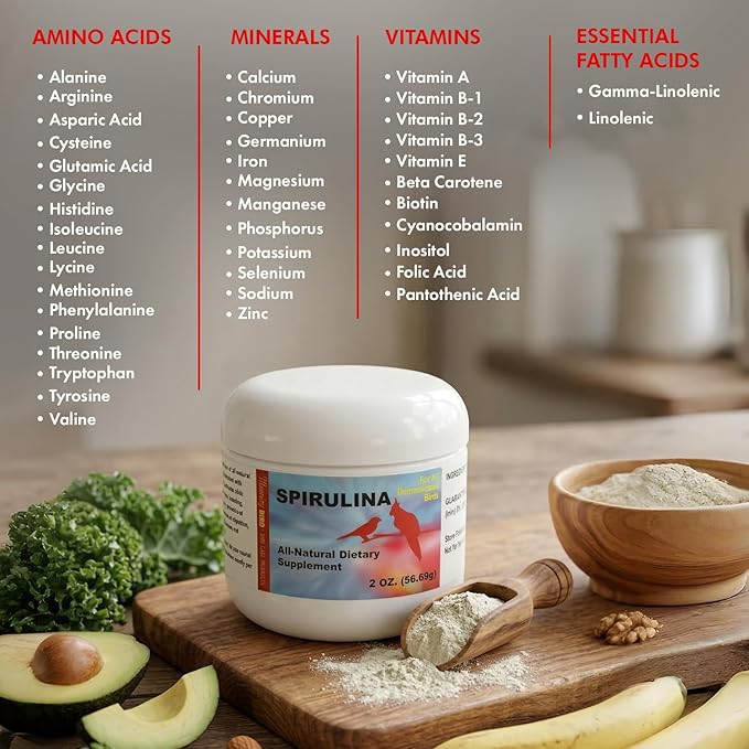 Morning Bird Spirulina 4.5 oz – Organic Superfood Supplement for Birds – Rich in Vitamins, Protein & Amino Acids – Ideal for Parakeets, Cockatiels, Budgies, Finches, Canaries & Parrots