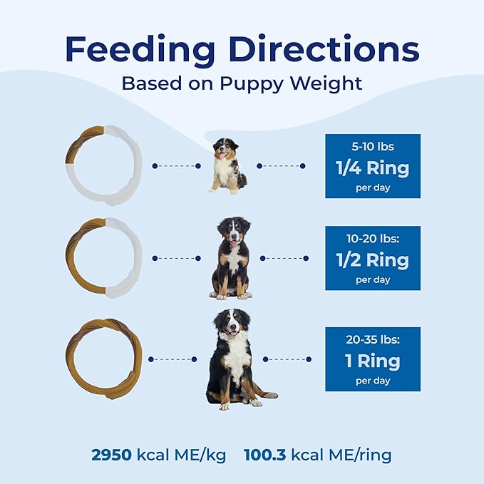 N-Bone Puppy Teething Rings Taste of Texas Queso Con Carne Flavor 3 Count