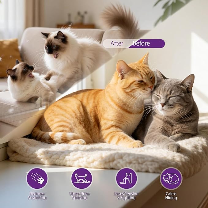 Cat Calming Pheromone Diffuser Set (Whole Home 3-Pack) – 3 Diffusers + 3 x 48ml Refills – Helps Reduce Spraying & Fighting – Unscented Stress Relief for Large Homes & Multi-Cat Areas