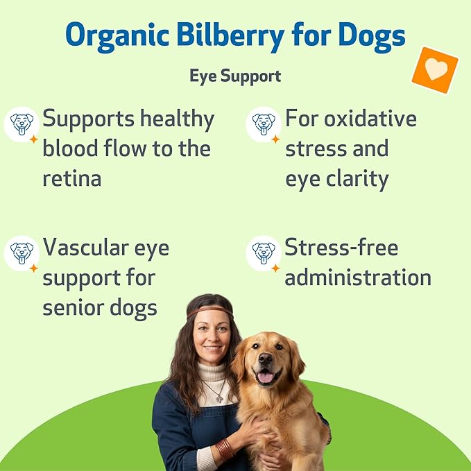 Pet Wellbeing Bilberry for Dogs - Eye & Vision Support with Antioxidants, Capillary Health, Retinal Support - NASC Certified & Vet-Formulated - 2 oz Liquid