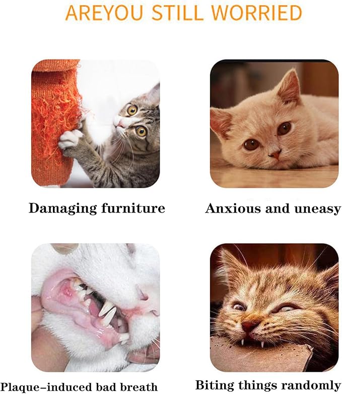 3 Pack Cat Toys Pillows, Soft and Durable Catnip Toys with Crinkle Sound Inside，Interactive Cat Toys for Indoor Cat Toys, Kitten Kicker Toy for Exercise