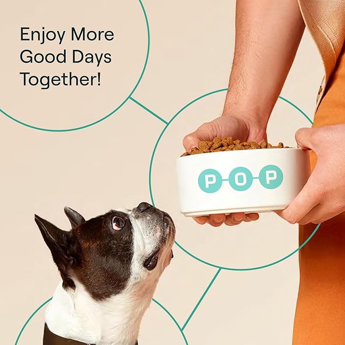 POP-Topper Dog Food Meal Toppers – Multivitamin Powder for Dogs Under 35 lbs - Delicious Bone Broth Base with 6 Human-Grade Superfoods - Supports Joints, Gut, Skin & Coat - 30 Packets