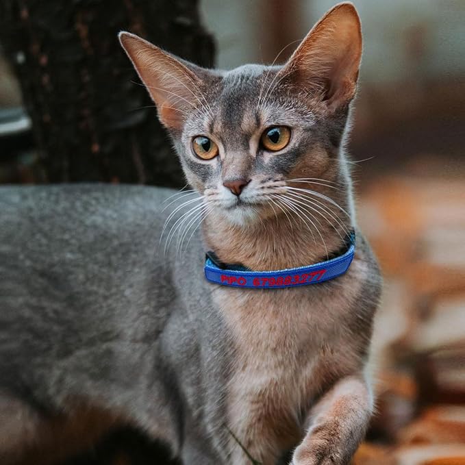 Cat Collar, Personalized Nylon Breakaway Cat ID Collar Embroidered with Pet Name and Phone Number and Bell (Without Airtag case)