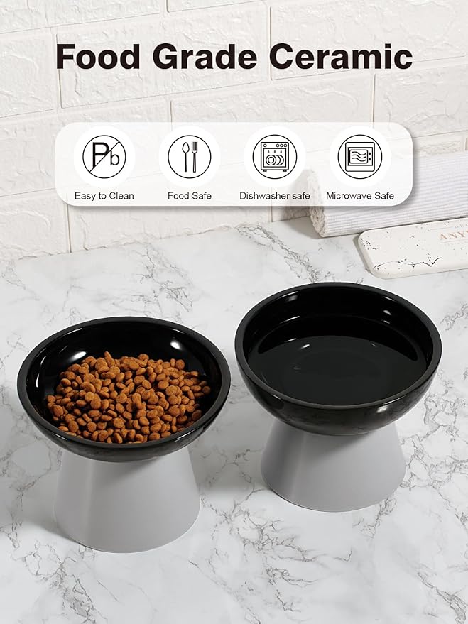 LoeJan Elevated Cat Food and Water Bowls Set, Extra Wide and Raised Ceramic Feeder, Anti-Vomit Whisker-Free Pressure Feeding Bowl for Kittens Adult Small Dogs(Black, 2 Pack)