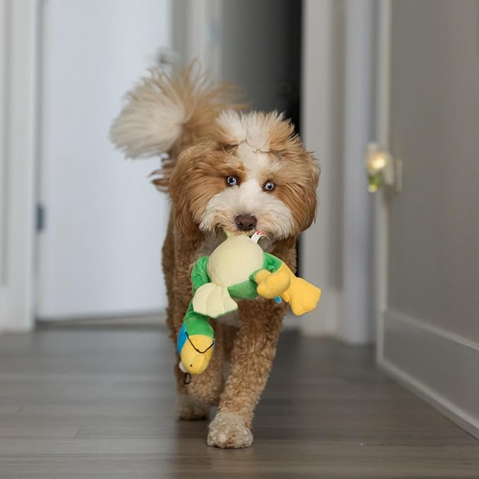 SPOT Chirpies Plush Dog Toy – Bird Sound Squeaky Toy for Small and Medium Dogs, Light to Moderate Chewers, Stretchy Bungee Neck, Recycled Stuffing – 14 in, Assorted Styles