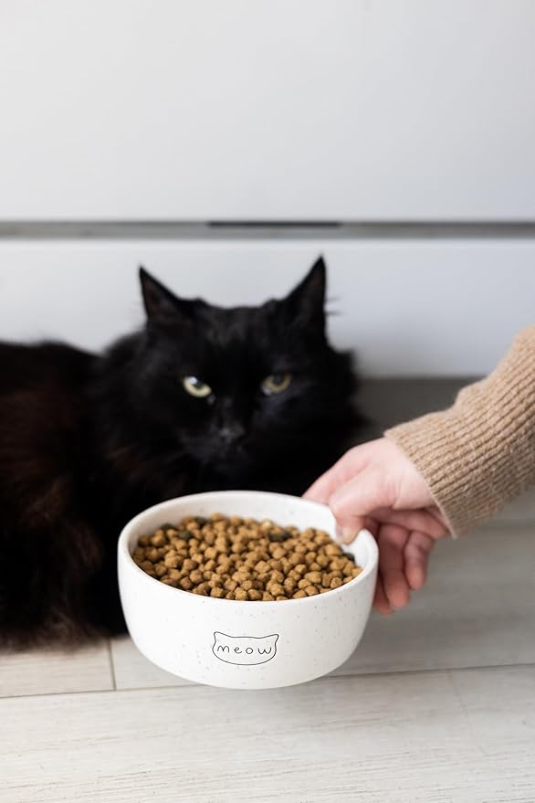 Pearhead Ceramic Meow Cat Bowl, Holds 12 oz, Whisker-Friendly Pet Dish for Food and Water, Modern Speckled White