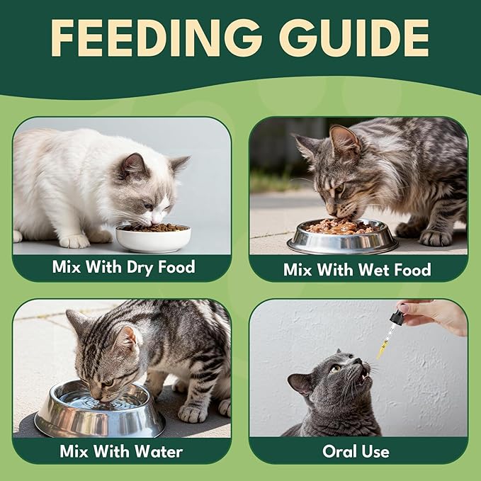 YOTANGO Natural Antibiotics for Cats, Cat Antibiotics for UTI & Itch Support, Immune, Digestive, Allergy, Skin & Coat Support for Cats and Kittens, for All Ages & Breeds (Chicken Flavor-60ml 2 Pack)