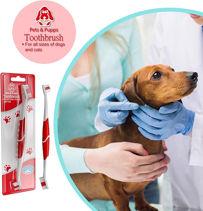Pet Toothbrush for Dogs, Cats with Soft Bristles - Easy Teeth Cleaning & Dental Care, Non Slip Dual Head Dog Toothbrush for Medium & Large Pets, Toothpaste Not Included, Pack of 1