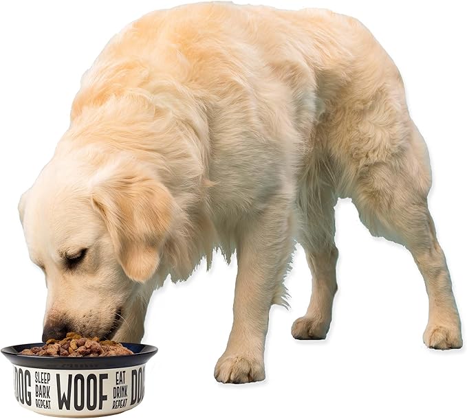 PetRageous 17001 Eat Drink Repeat Two-Tone Stoneware Dishwasher Safe Dog Bowl 4-Cup 8.18-Inch Diameter 3-Inch Tall for Medium and Large Dogs and Cats, Off-White, (Pack of 1)
