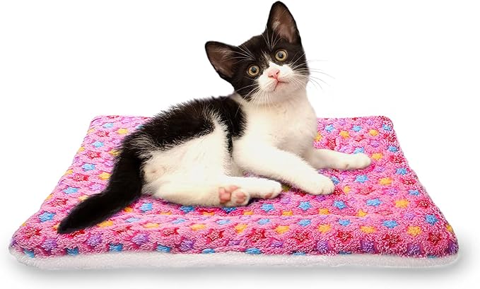 FJWYSANGU Fluffy Pet Cat Blanket Soft Coral Velvet Pet Puppy Cushion Mat Warm Cover Soft Pad Mat(Star V2/Pink,Medium)
