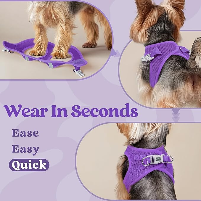 rabbitgoo Small Dog Harness, Step-in Soft Mesh Puppy Vest with Safety Buckle, Breathable Reflective Pet Harness for Extra Small Dogs, Purple XXXS