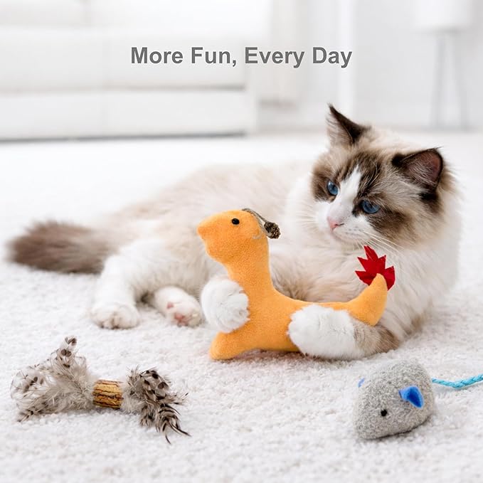 3 Pack Cat Toys for Indoor Cats - Silvervine & Catnip Toy Set with Feather, Plush Dragon Kick Toy, Mouse Toy for Chasing, Kicking & Chewing, Natural Cat Enrichment Toys