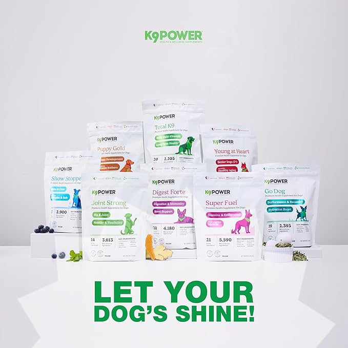 K9Power Joint Strong – Dog Joint Supplement for Mobility, Pain & Inflammation Relief – Glucosamine, Chondroitin, Collagen, Curcumin, Omega 3s, CMO, Green Tea – Ideal for Arthritis & Joint Protection