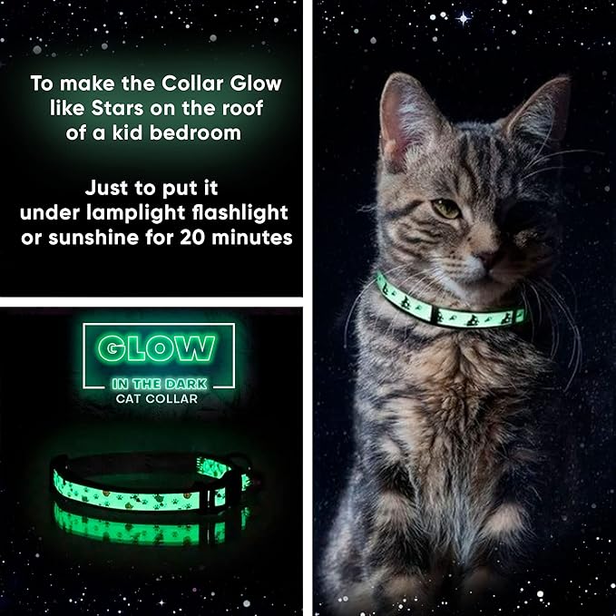 Pawtitas Glow in The Dark Cat Collar with Breakaway Safety Buckle & Bell Adjustable Kitten Collar, Set of 2 GID Blue/Orange