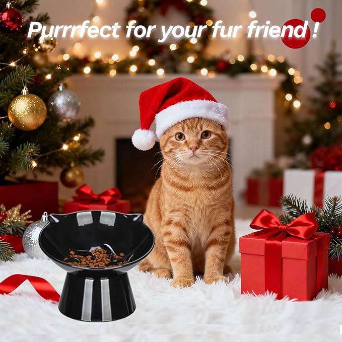 Detachable Slow Feeder Cat Bowl- Elevated Cats Feeder Tilted, 7 Inch Large Extra Wide Raised Cat Food Bowl Whisker Friendly, for Indoor Cats and Small Dogs Anti-Vomiting Black