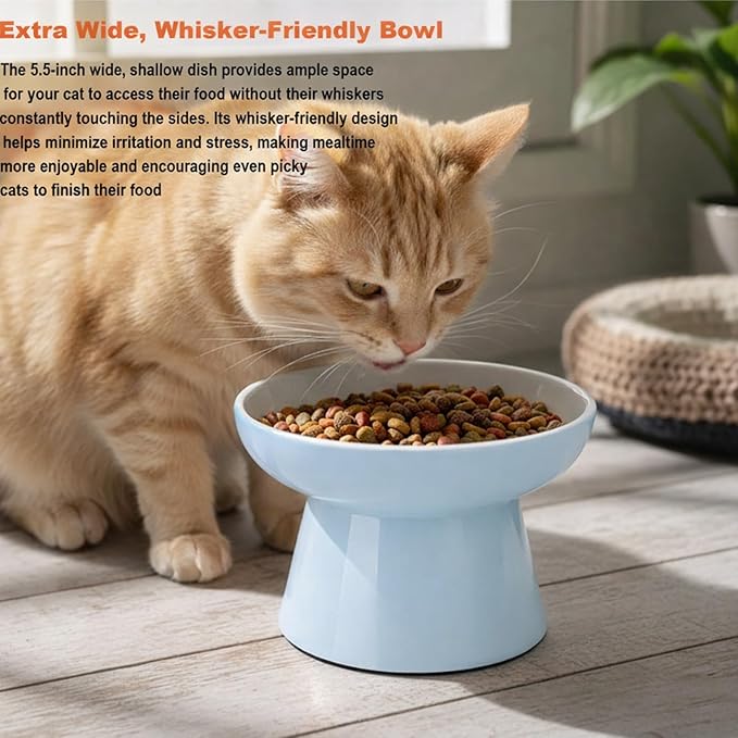 Elevated Cat Food Bowls,Ceramic Raised Cat Bowls with Non-Slip Base,Whisker Friendly Shallow Design for Dry & Wet Food,Anti Vomiting, Dishwasher Safe(Blue)