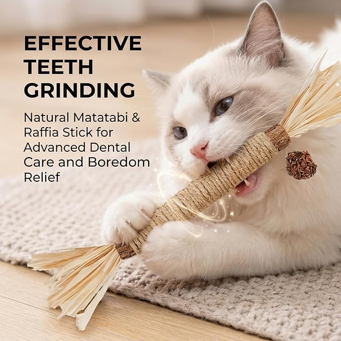 Cat Toys 3Pack Silvervine Chew Stick Kitten Treat Catnip Toy Kitty Natural Stuff Catnip for Cleaning Teeth Indoor Dental Snack Interactive