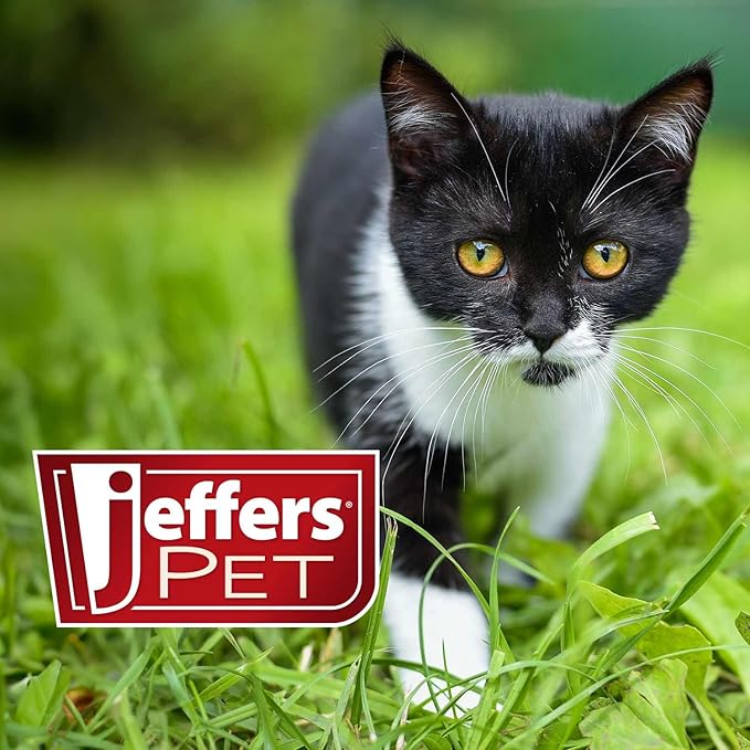 Jeffers Pet Ear Cleaning Solution for Dogs, Cats & Puppies, 8 oz – Aloe Vera Ear Wash for Wax & Odor Removal, Itchy Ear Comfort, Routine Ear Hygiene, Home Grooming, Travel Friendly Pet Care