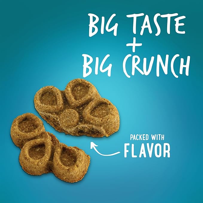 Fruitables Biggies Dog Biscuits, Pumpkin Treats for Dogs, Healthy Doggie Biscuits, Crunchy Treats, No Wheat, Corn or Soy, Made in The USA, Almond Butter and Coconut Flavor, 16oz (Pack of 2)