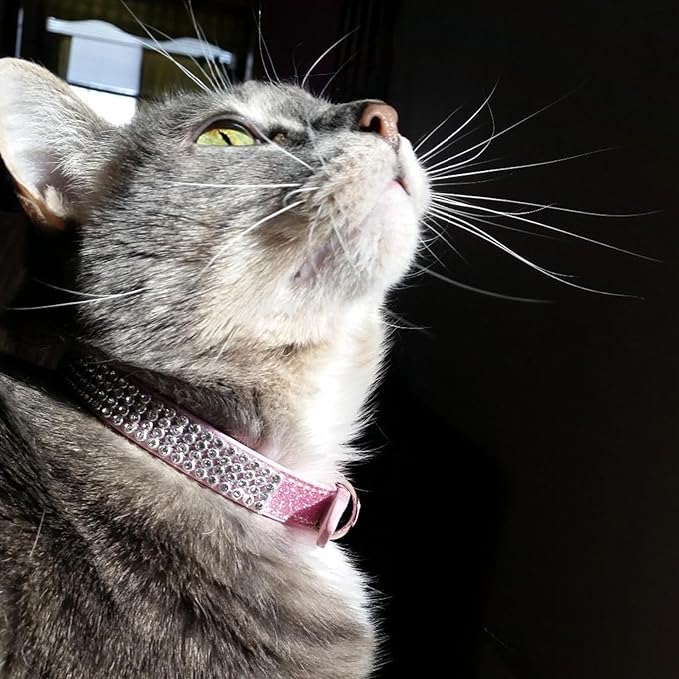 PUPTECK Basic Adjustable Cat Collar with Bling Diamond and Double Bells, for Kitten and Small Puppy, Fashion and Shining Dog Rhinestone Collars, 8-10 in, Pink