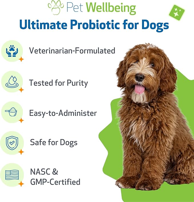 Pet Wellbeing - Ultimate Probiotic 9 Strains for Cats and Dogs - Natural Support for Digestion and Urinary Tract Health 160 Grams.