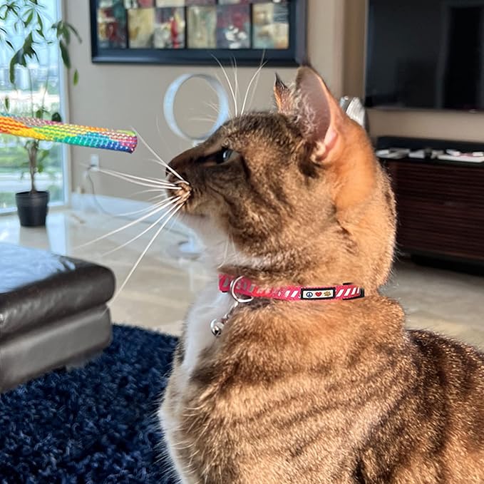 Pawtitas Personalized Green Reflective Cat Collar – Adjustable Custom Collar with Safety Buckle, Removable Bell, and Engraved Name & Phone Number for Kittens and Adult Cats