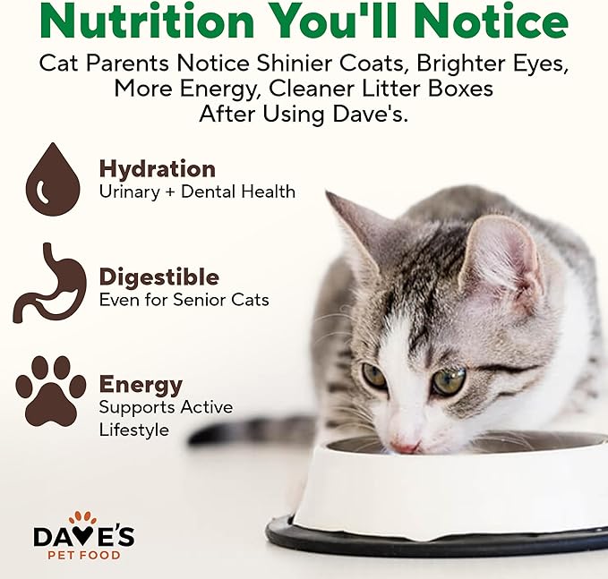 Dave's Pet Food Grain Free Wet Cat Food Pate (Turkey), Made in USA Naturally Healthy Canned, Added Vitamins & Minerals, Carrageenan-Free, 5.5 oz Cans (24 Pack)