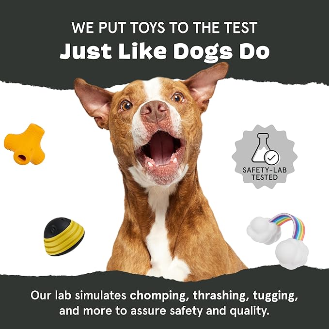 Barkbox Super Chewer Rope Dog Toy for Aggressive Chewers with Reinforced Strap (Tailspin - Large)