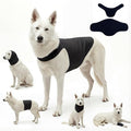 DAJIDALI® Dog & Cat Anxiety Vest & Spay Recovery Suit – Silent Calming Wrap for Surgery, Thunderstorms – Breathable Cone Alternative