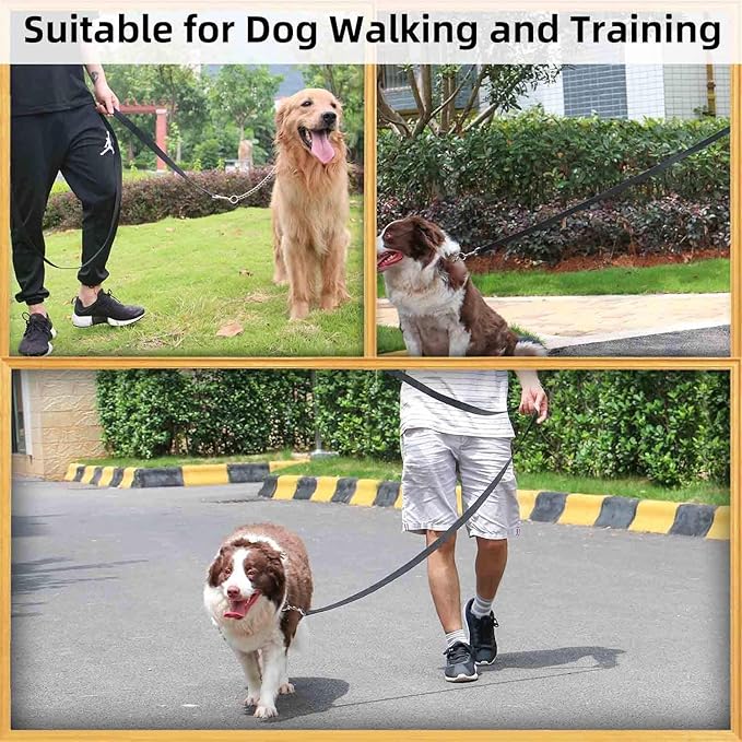 AMAGOOD 6 FT Puppy/Dog Leash, Strong and Durable Traditional Style Leash with Easy to Use Collar Hook, Great for Small, Medium and Large Dogs (3/4 in x 6 ft, Black and Blue (2-Pack))