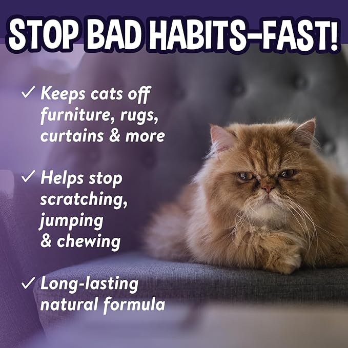 Bodhi Dog 3-in-1 Cat & Kitten Training Aid - Cat Deterrent Spray for Indoor and Outdoor Use - Protect Furniture, Rugs and Plants - Establish Boundaries & Keep Felines Off - Made in USA (8 Fl Oz)