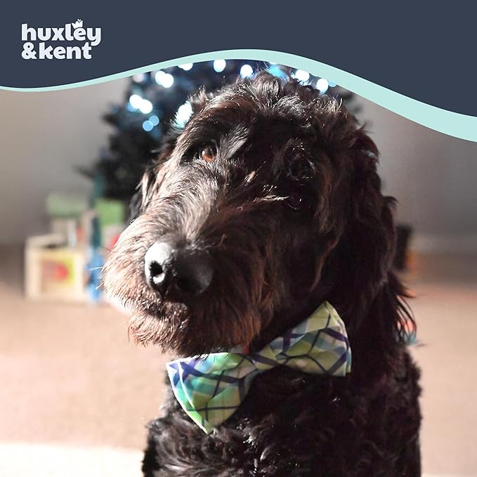 Huxley & Kent Pet Bow Tie for Dogs & Cats - Adjustable Hook & Loop Collar Accessory - Cute & Comfortable for Holidays & Celebrations - Lime Madras, Small