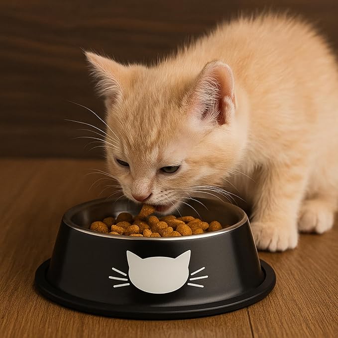 3 Pack Printed Stainless Steel Cat Bowls – 8.1 fl oz Anti-Skid Food & Water Cat Feeding Bowls|Cat Dish for Food and Water Bowl|Cat Feeding Bowl for Kitten (Grey, Black & Red)