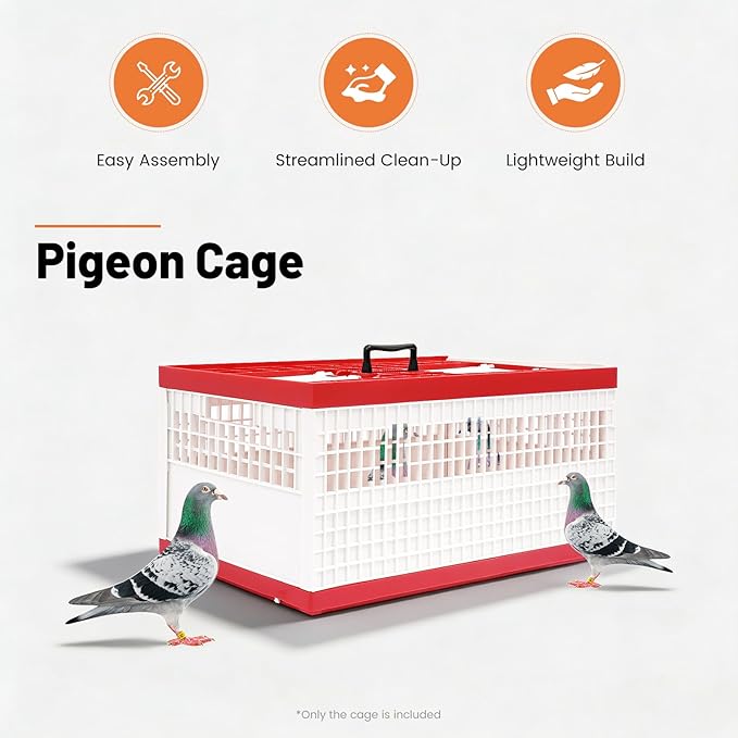 Plastic Foldable Pigeon Carrier Cage, Racing Pigeon Carrier Box with Handle 23.6"X12.2"X10.2" Portable Bird Travel Carriers Cage Bird Training Basket with 2 Side Doors and 2 Top Department