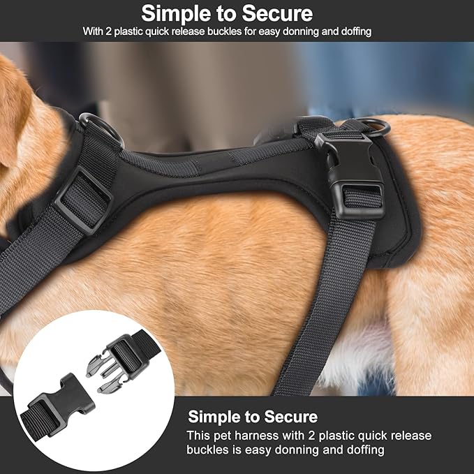 Wisedog No Pull Lightweight Dog Harness: Adjustable Breathable Mesh Pet Vest Harness with Soft & Comfortable Cushion, for Small Medium Large Dogs (Small, Black)