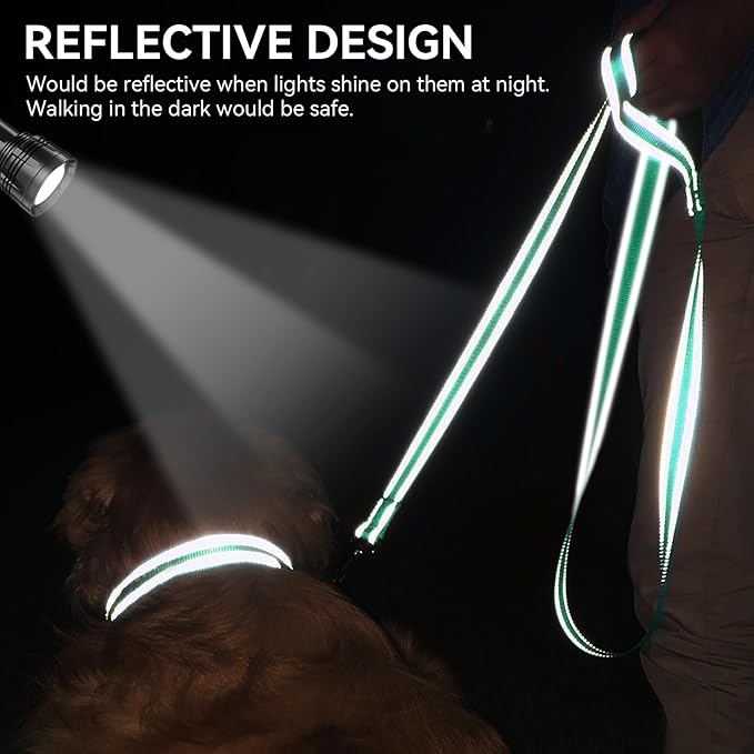 Joytale Dog Leash, 6 FT Double-Sided Reflective, Padded Handle Nylon Heavy Duty Leashes for Small Dogs Walking, Teal