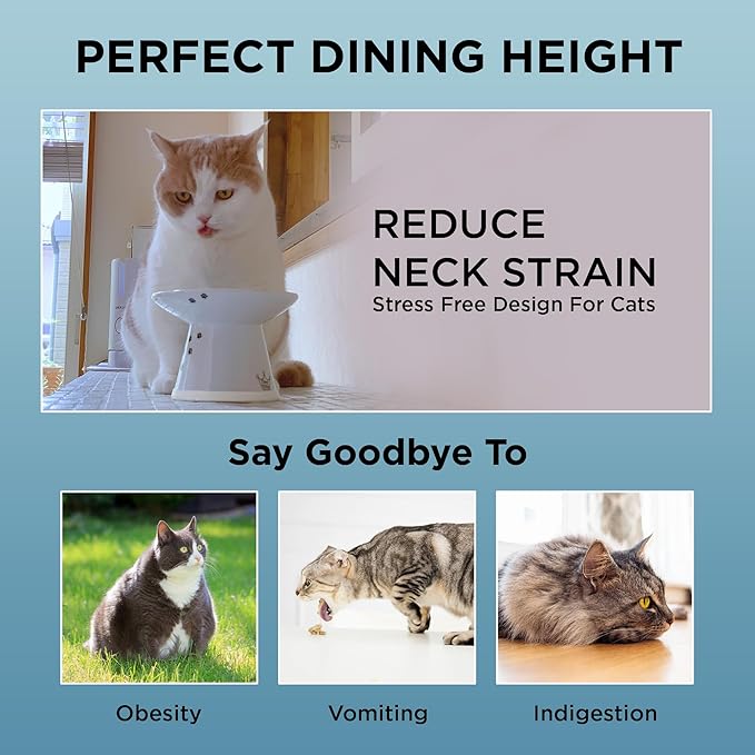Necoichi Raised Cat Food Bowl – Ceramic Elevated Cat Bowl for Whisker & Neck Fatigue, Dishwasher Microwave Safe – Non-Slip & Anti Vomiting Ergonomic Design (Cats, Extra Wide, 2-Cups Capacity)
