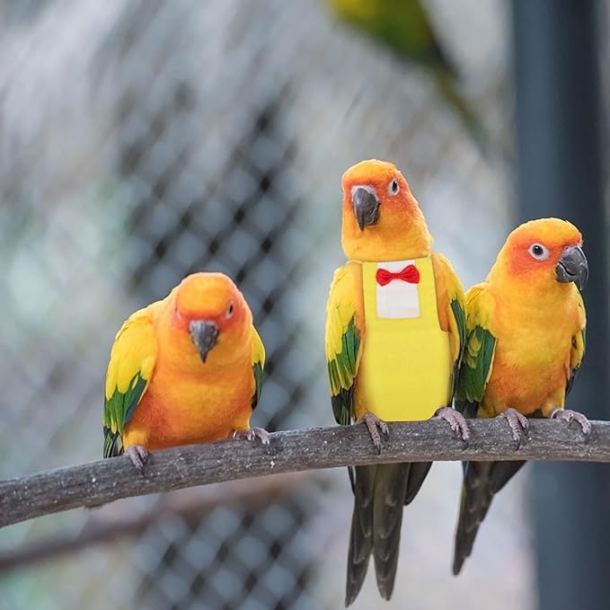 BESTonZON Parrot Diaper Flight Suit Bird Diaper Clothing Breathable Yellow Large Pet Bird Apparel and Parrots