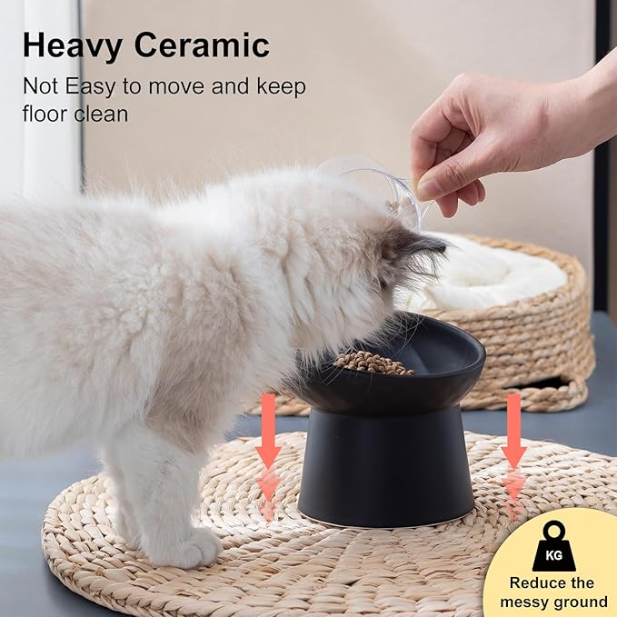 YauYik Raised Cat Bowl Black, Elevated Cat Food Bowls with Tilted Angle, Stress Free, Anti Vomiting, Ceramic Water Bowl for Cats Small Dogs Feeding Dish, 8 Ounces