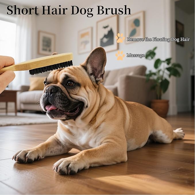 Soft Boar Bristle Dog Brush for Short Haired Dogs - Made of Wood, Gentle Deshedding & Grooming Tool, Ideal Dog Hair Brush for Pets, Dog Brushes for Grooming and Shedding （Large）