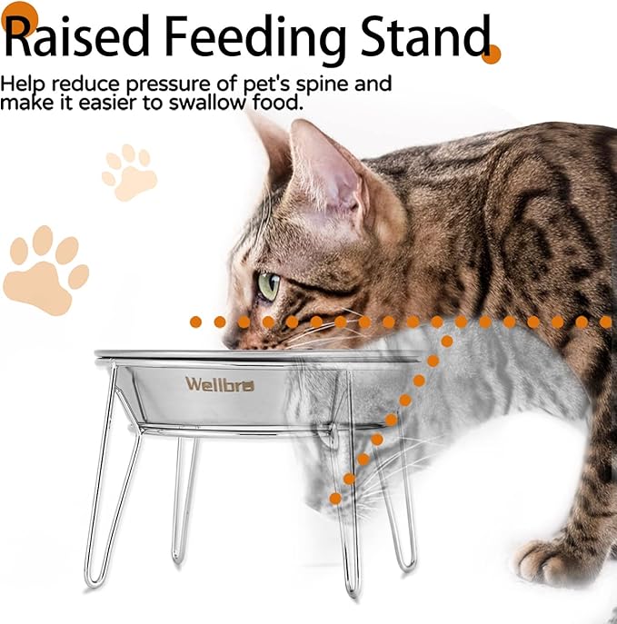 Elevated Cat Bowls, 5.9 Inch Wide Stainless Steel Cat Food Bowls with Metal Stand Whisker Stress-Free, Raised Food and Water Dish for Cats, Kitten, Puppies and Small Dogs-2 Pack
