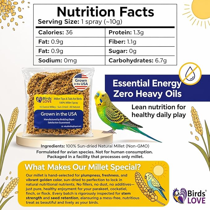 Birds LOVE Millet Tips & Tails for Birds - Parakeets, Cockatiels, Lovebirds, Finches, Budgies, Canaries, Cockatoos - Natural & Healthy Millet for Birds - Parakeet Food & Treats for All Parrots, 1lb