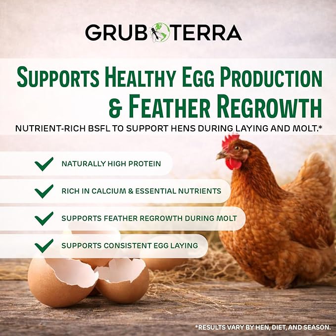 GrubTerra Black Soldier Fly Larvae for Chickens – Dried BSFL Poultry Treat, High Protein Calcium Feed Supplement for Laying Hens, Backyard Chickens, Sourced from Mexico, Not from China - 2LB