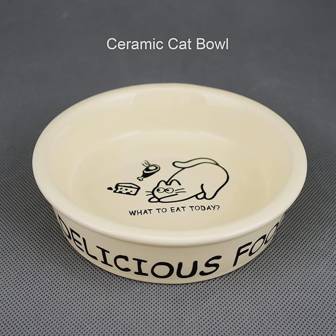 TTcat Ceramic Cat Feeder, 5.1in Shallow Design Food Bowl, Small Pet Dishes for Cats, Kitten, Dishwasher Safe