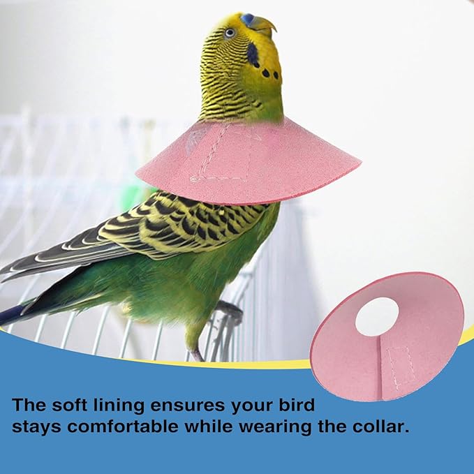 4Pack Bird Cone Collar, Anti-Grab Feather Plucking Wound Healing Safety Elizabethan Collar, Protective Recovery Cones for Budgerigar Cockatiel Lovebirds Cockatoo Parrots (L)